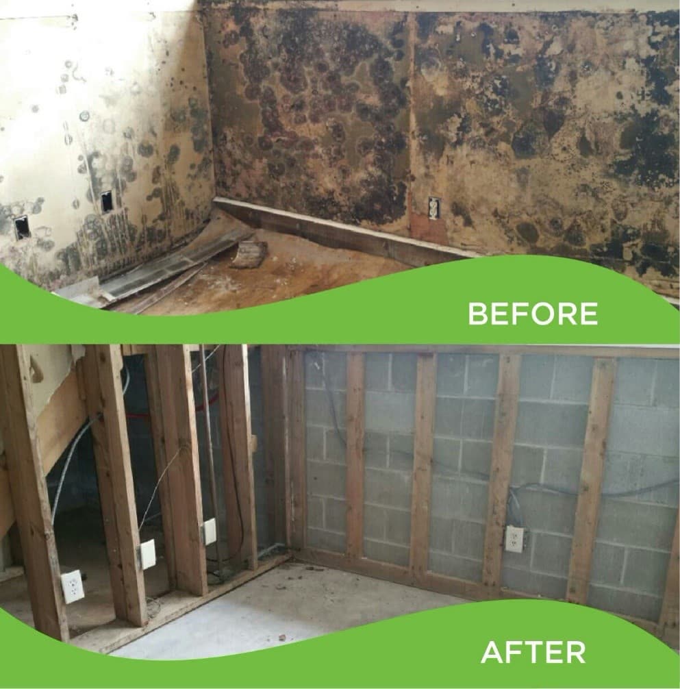 Thermal moisture scan inside a residential room